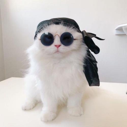 สมาชิกหมายเลข 5446701