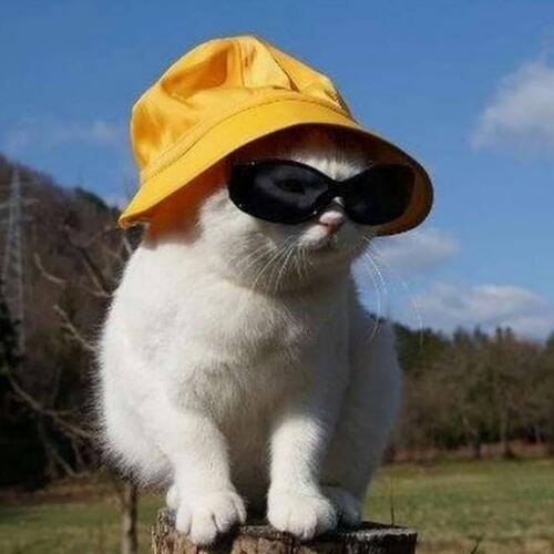 สมาชิกหมายเลข 5745516