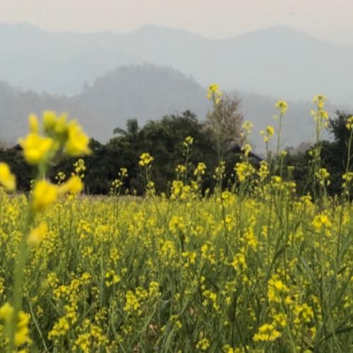 สมาชิกหมายเลข 5745553