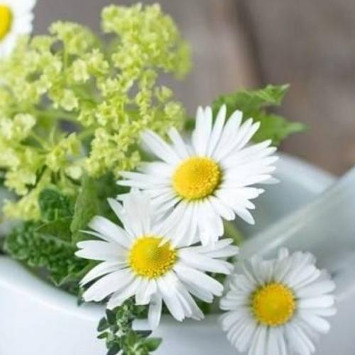 สมาชิกหมายเลข 6333694