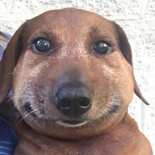 สมาชิกหมายเลข 7372558