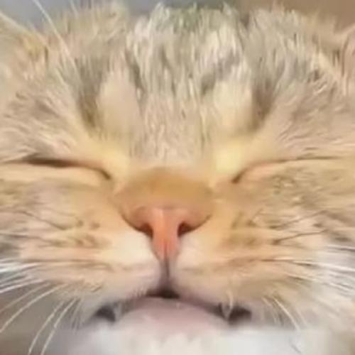 สมาชิกหมายเลข 5152872