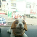 สมาชิกหมายเลข 3461160