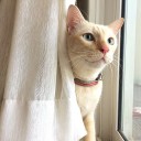 สมาชิกหมายเลข 3666893