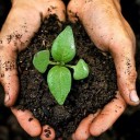 สมาชิกหมายเลข 4134217