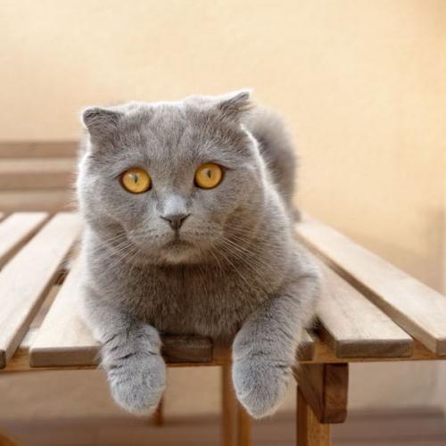 สมาชิกหมายเลข 3021771