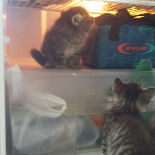 สมาชิกหมายเลข 3125798