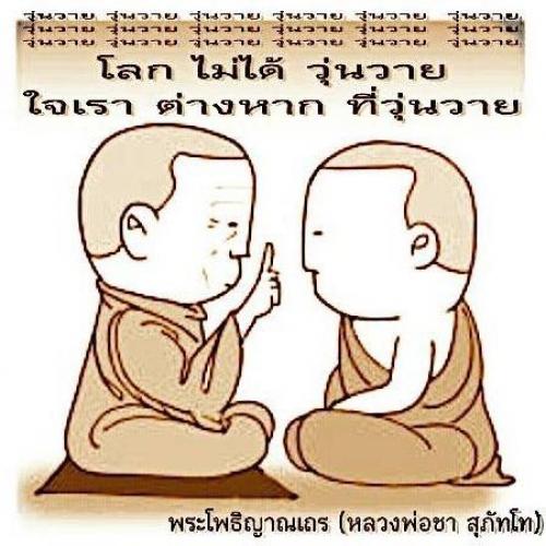 สมาชิกหมายเลข 4046572