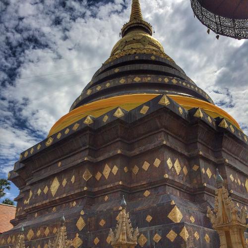 สมาชิกหมายเลข 4528599