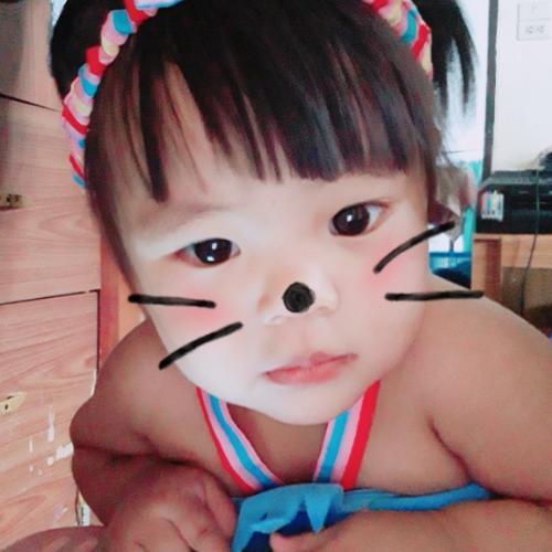 สมาชิกหมายเลข 4556034