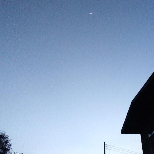 สมาชิกหมายเลข 4556035