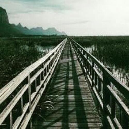 สมาชิกหมายเลข 4556183