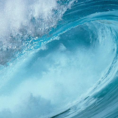 สมาชิกหมายเลข 4897006