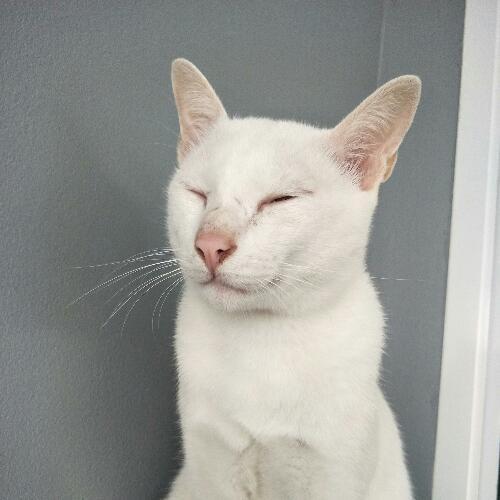 สมาชิกหมายเลข 4897026