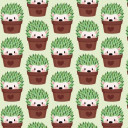 สมาชิกหมายเลข 3031579