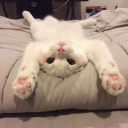 สมาชิกหมายเลข 4122701