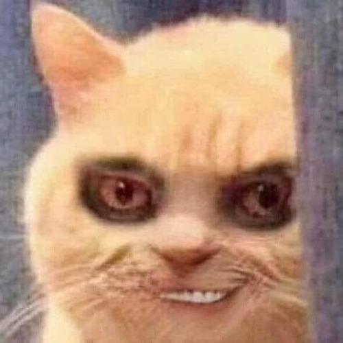 สมาชิกหมายเลข 2482764