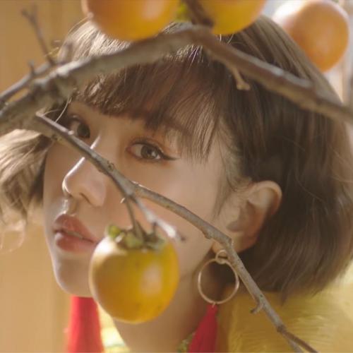 สมาชิกหมายเลข 6334126