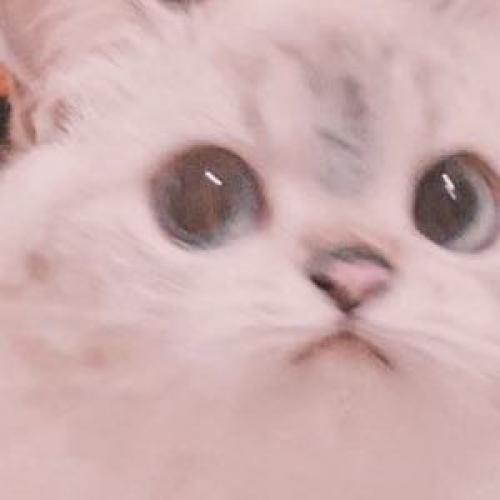 สมาชิกหมายเลข 6334524