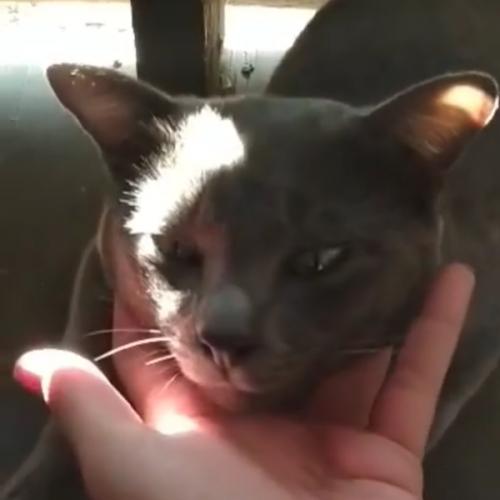 สมาชิกหมายเลข 3787578