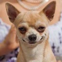 สมาชิกหมายเลข 1627104