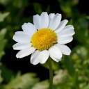 สมาชิกหมายเลข 3673191