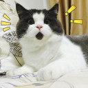 สมาชิกหมายเลข 2581886