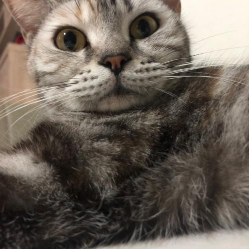 สมาชิกหมายเลข 5264313