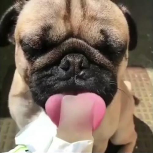 สมาชิกหมายเลข 5293193