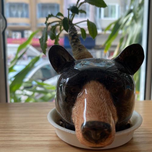 สมาชิกหมายเลข 2306721