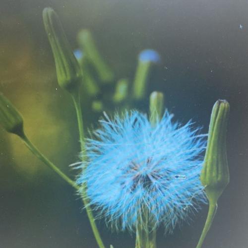 สมาชิกหมายเลข 3373528