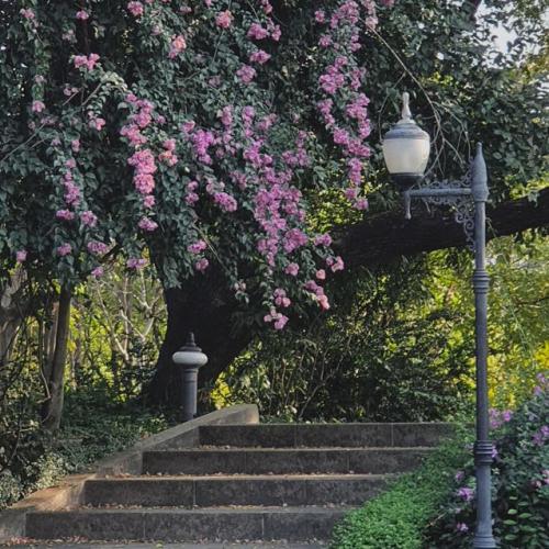 สมาชิกหมายเลข 6220883