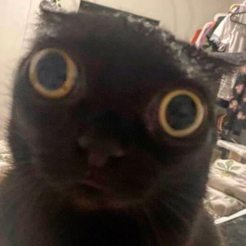 สมาชิกหมายเลข 7016907