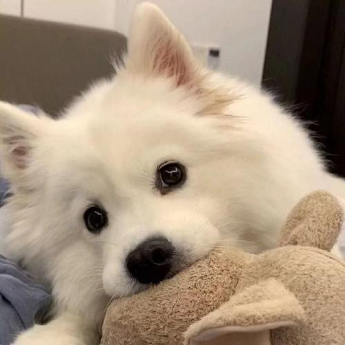 สมาชิกหมายเลข 7017282