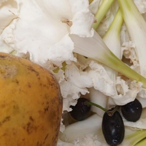 สมาชิกหมายเลข 8747253