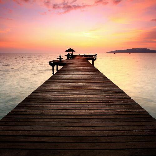 สมาชิกหมายเลข 4556837