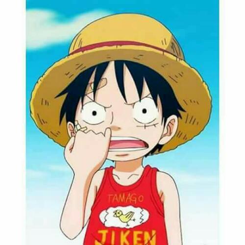 สมาชิกหมายเลข 4897927