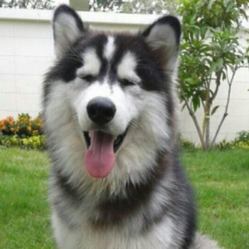 สมาชิกหมายเลข 1936318