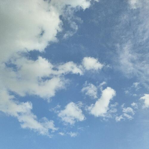 สมาชิกหมายเลข 5158526