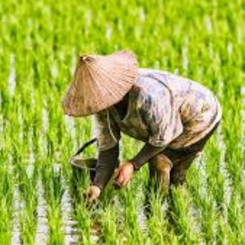 สมาชิกหมายเลข 5747201