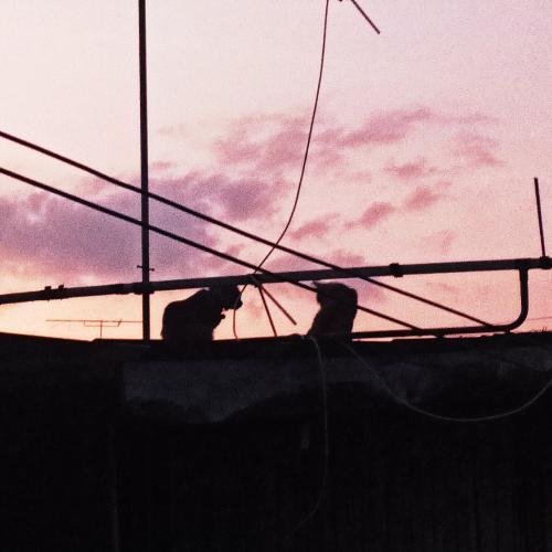 สมาชิกหมายเลข 4486164