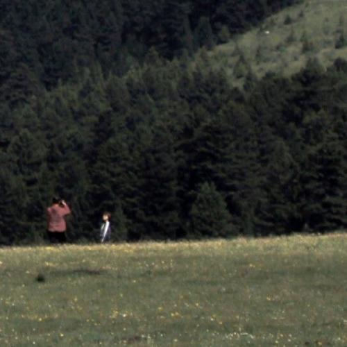 สมาชิกหมายเลข 5860418