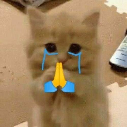 สมาชิกหมายเลข 7784236