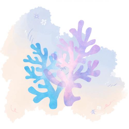 สมาชิกหมายเลข 5822352