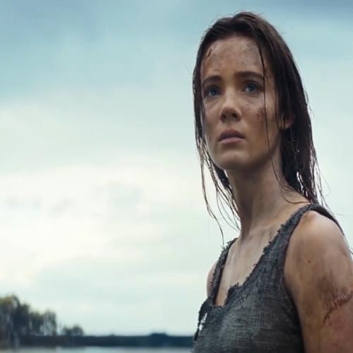 สมาชิกหมายเลข 8543629