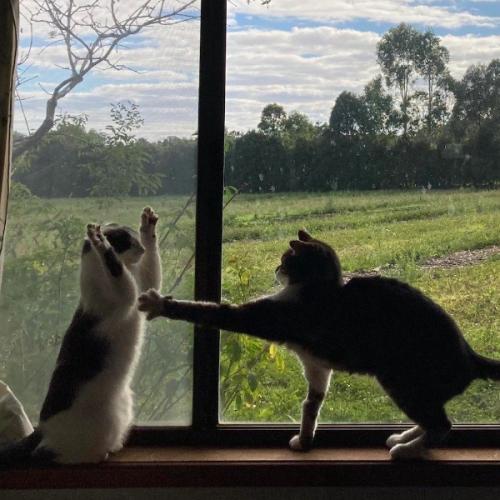 สมาชิกหมายเลข 8644604