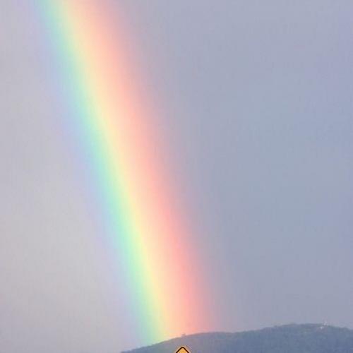 สมาชิกหมายเลข 4556879