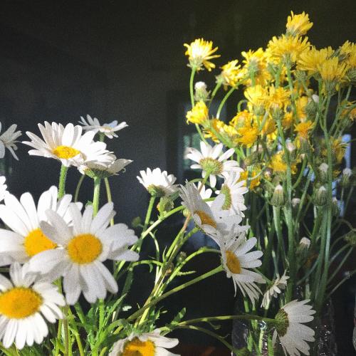 สมาชิกหมายเลข 4556908