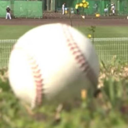 สมาชิกหมายเลข 1720415