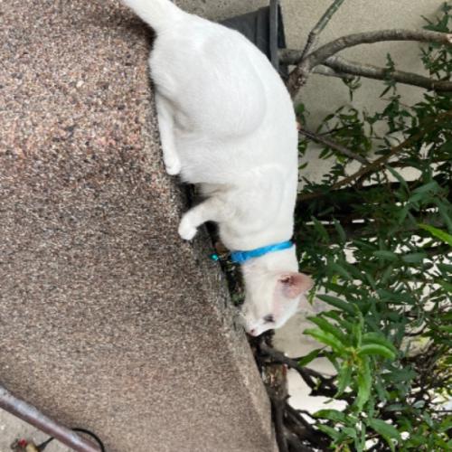 สมาชิกหมายเลข 2230768